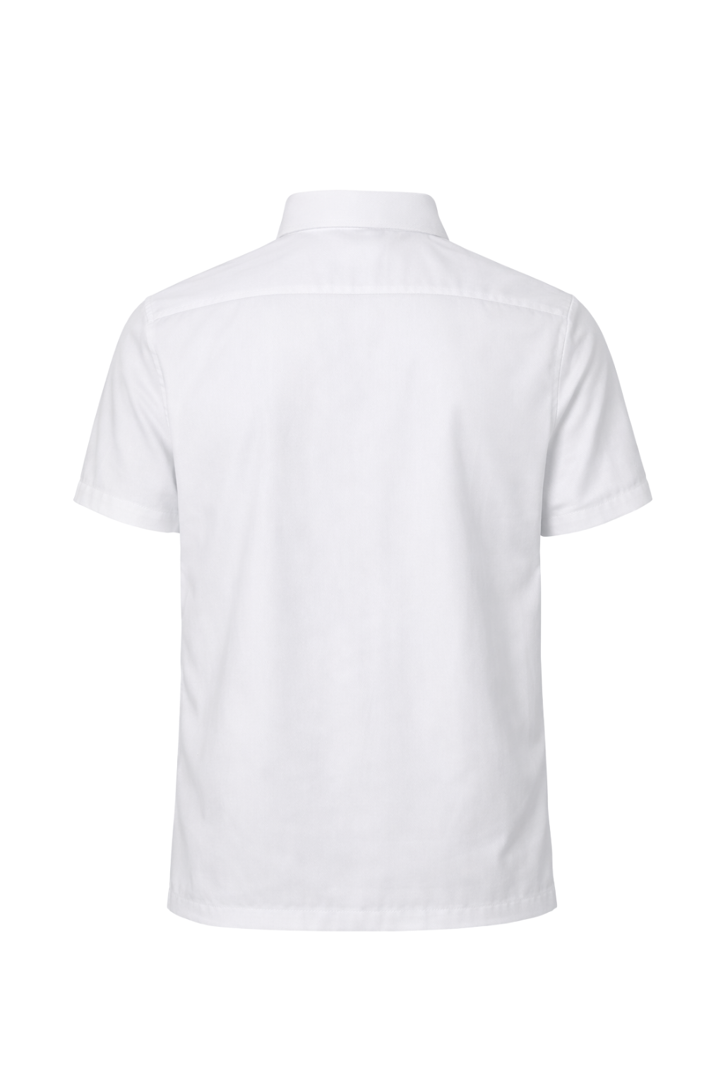 Short Sleeve Blouse - Peter Pan Collar