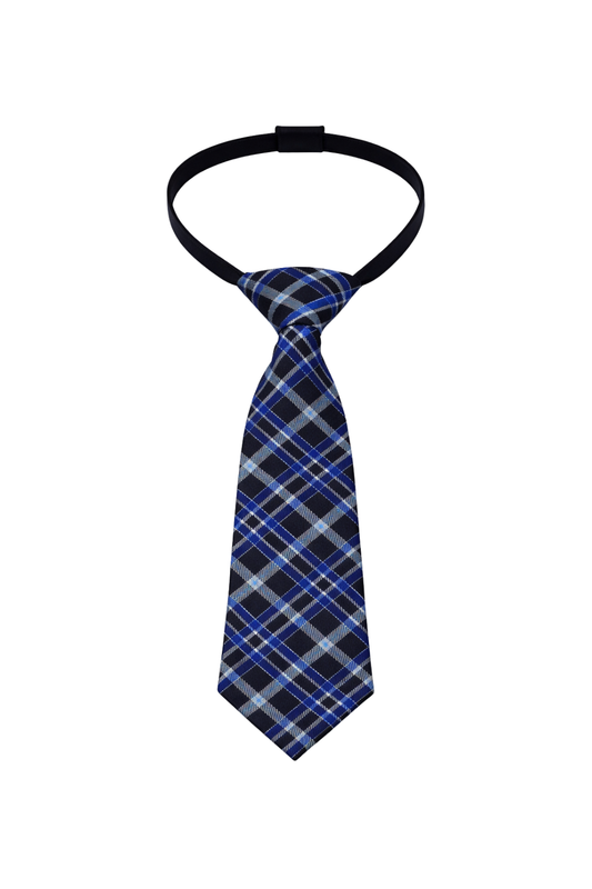 Signature Tartan Tie